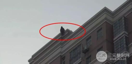 23歲女主播整容失敗 兩次跳樓身亡