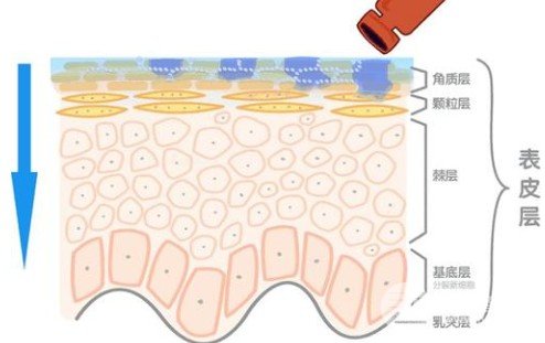 玻尿酸豐唇多少錢一針
