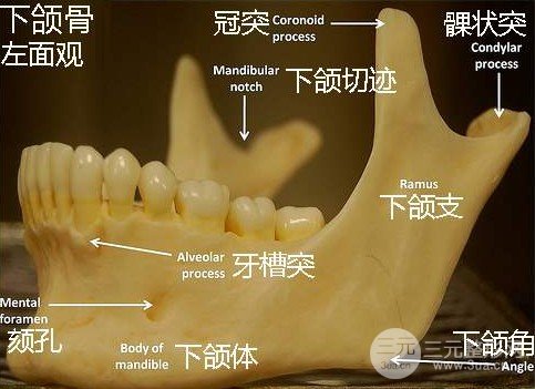 下頜角整容手術(shù)