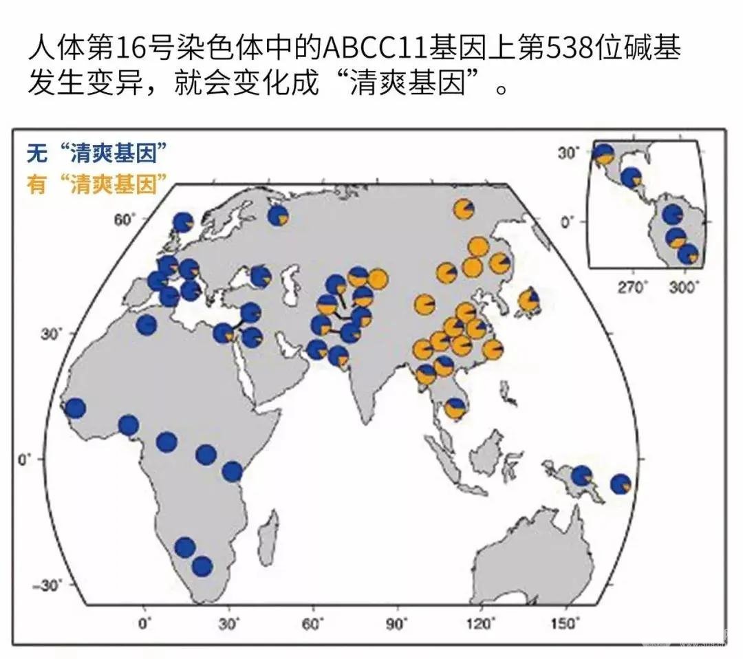 影響狐臭的因素