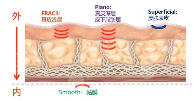 火鳳凰溶脂果怎么樣?