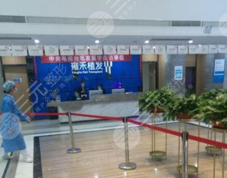 成都雍禾植發(fā)多少錢