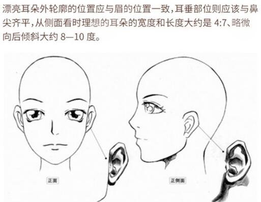 杯狀耳怎樣矯正