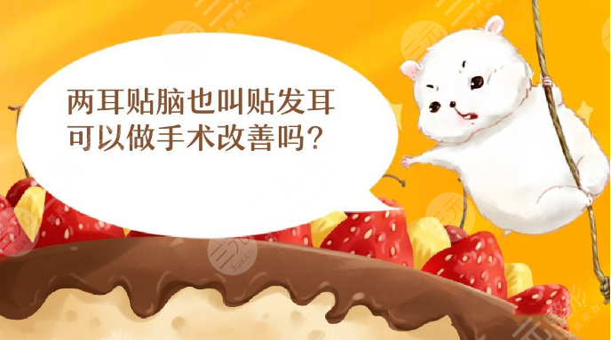 貼發(fā)耳怎么改良