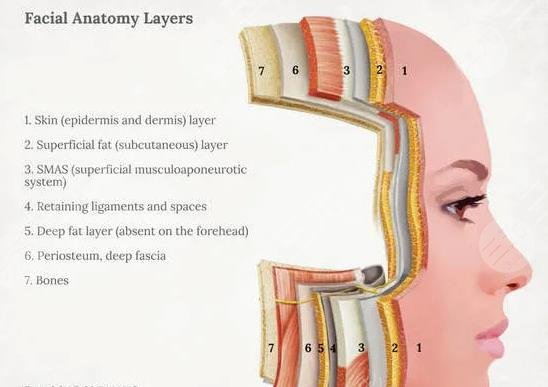 5gmax極速提拉技術(shù)優(yōu)勢(shì)