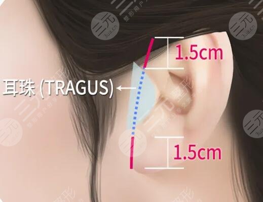 迷你小拉皮能挺多長時間