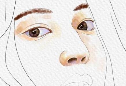 八大處范飛隆鼻多少錢(qián)