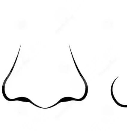 假體隆鼻手術(shù)之前