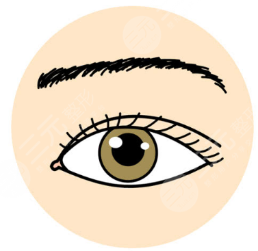 雙眼皮術(shù)前