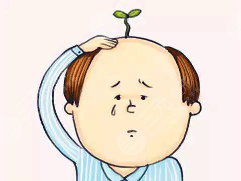 溫州大麥微針植發(fā)醫(yī)院脫發(fā)種植經(jīng)歷分享