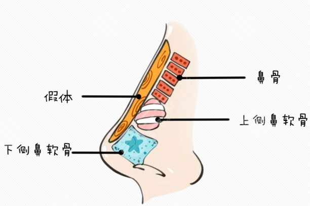 武漢肋骨鼻劉波