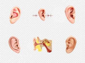 招風(fēng)耳如何矯正