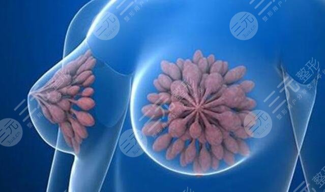 擅長項(xiàng)目