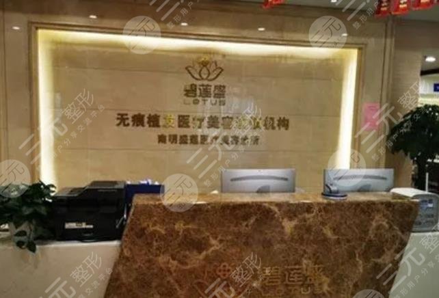 貴陽碧蓮盛植發(fā)