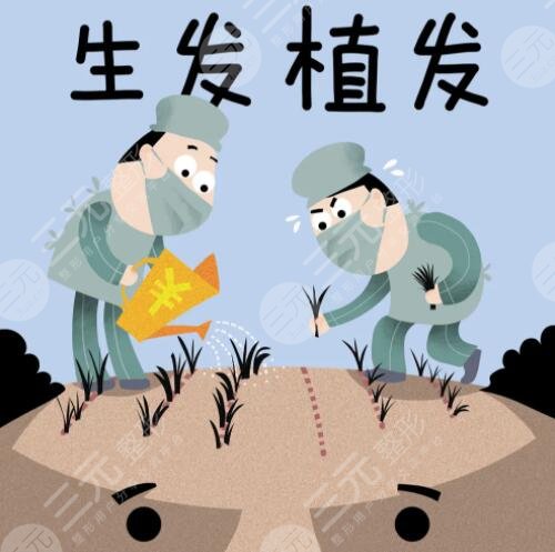 植發(fā)手術(shù)10元20元區(qū)別大嗎？區(qū)別主要在哪里？質(zhì)量？服務(wù)？毛囊數(shù)？