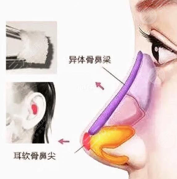 整形科擅長科普信息