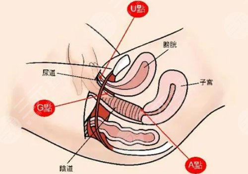 北京清木醫(yī)療美容醫(yī)院張曼怎么樣?