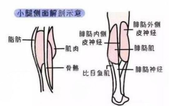 抽脂瘦小腿手術(shù)有哪些優(yōu)勢(shì)?