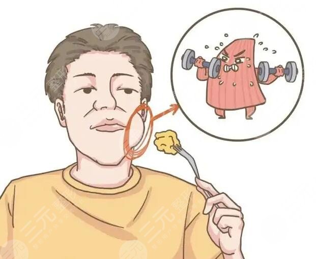 咬肌怎么變小？