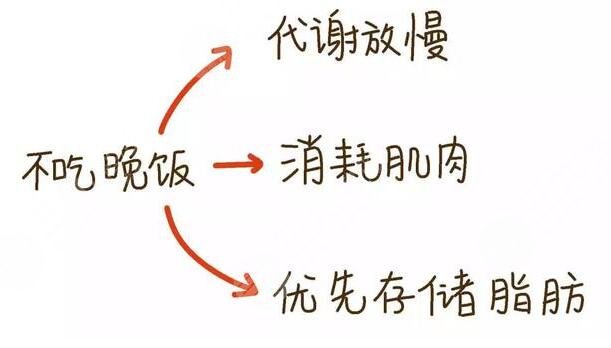 晚餐要適量，健康更重要