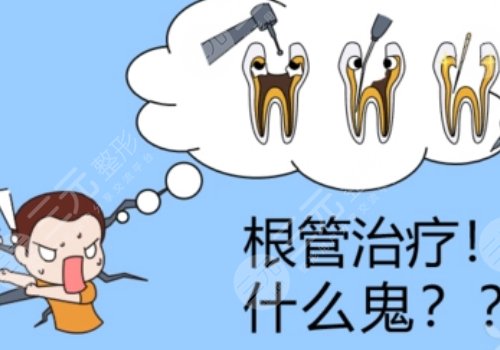 根管緩解一顆全部費(fèi)用