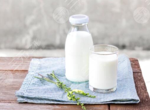 減肥吃的食物除了牛奶還有哪些?