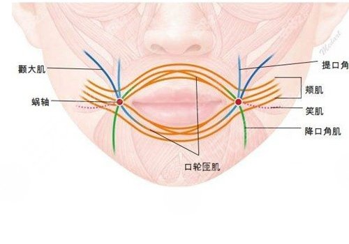 縮短人中的手術(shù)危險(xiǎn)嗎？