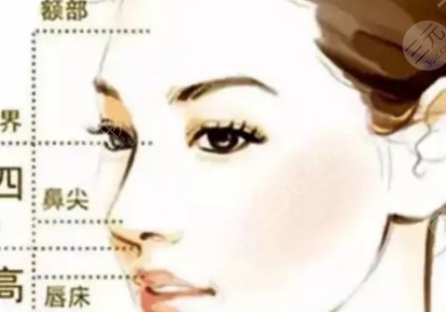 廣州鄧正軍做鼻子怎么樣