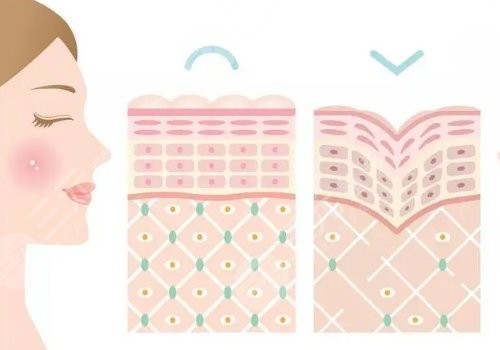 雙美膠原蛋白有幾種型號(hào)？