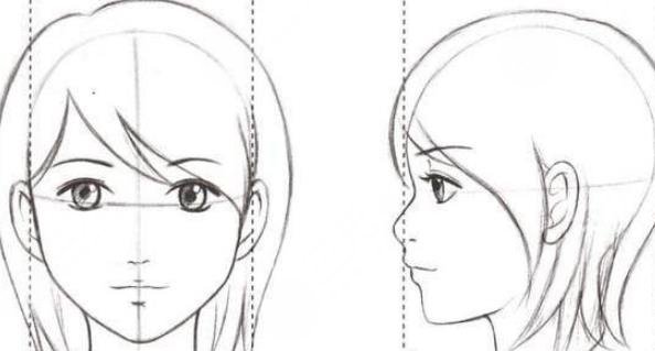 面部內(nèi)輪廓