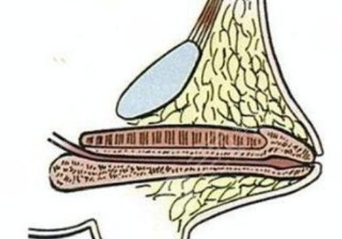 玻尿酸男性增大注射要多少錢？