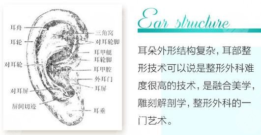 耳朵整形