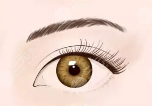 微調(diào)整形都有什么項(xiàng)目？