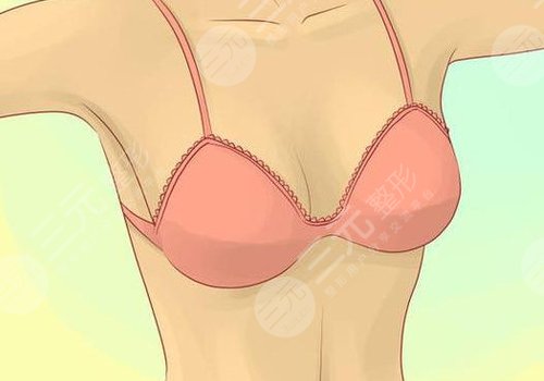 哪種胸型更好看？