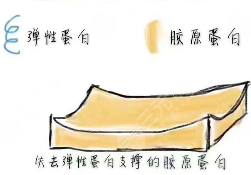 雙美膠原蛋白的作用與功效有哪些？