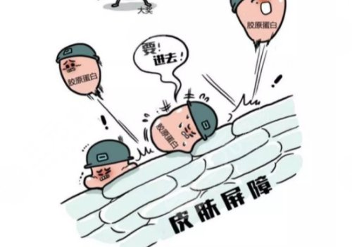 雙美膠原蛋白的作用與功效有哪些？