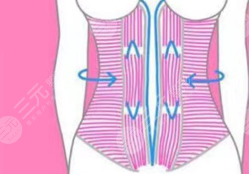 人魚(yú)體雕可以維持多久？