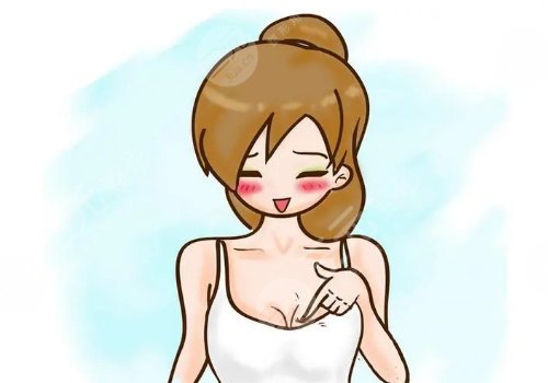 法國伊思雅胸假體多少錢