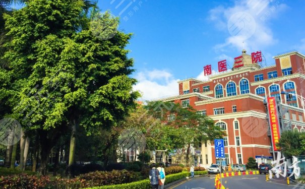 州顏玲做鼻子案例