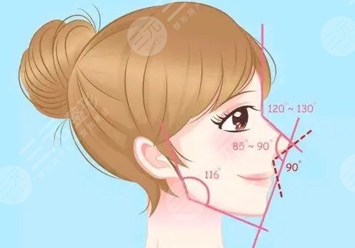 水滴鼻和鷹鉤鼻圖片