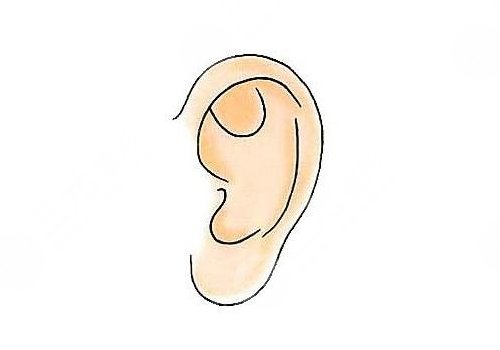 耳再造是自體軟骨好還是生物材料好