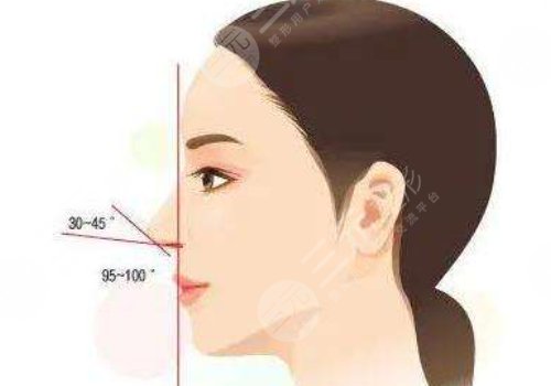 余龍做鼻子好看嗎？