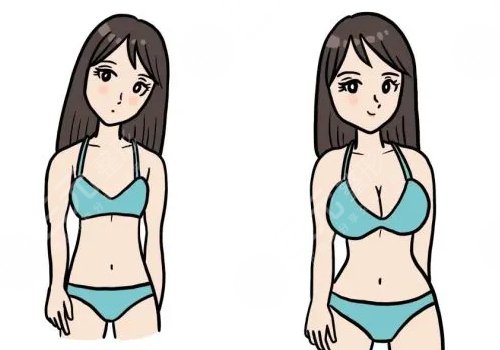 傲諾拉和曼托的區(qū)別在哪里