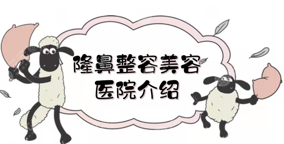 隆鼻整容美容醫(yī)院排名