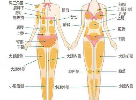 抽脂肚子價(jià)格大概多少