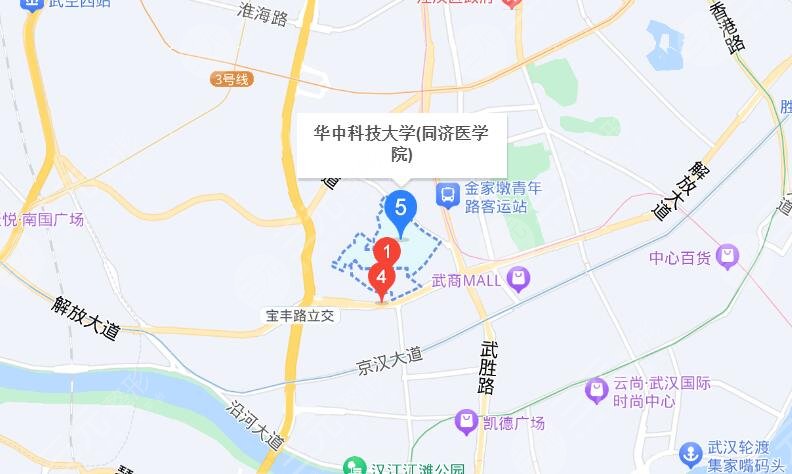 武漢同濟(jì)醫(yī)院地址