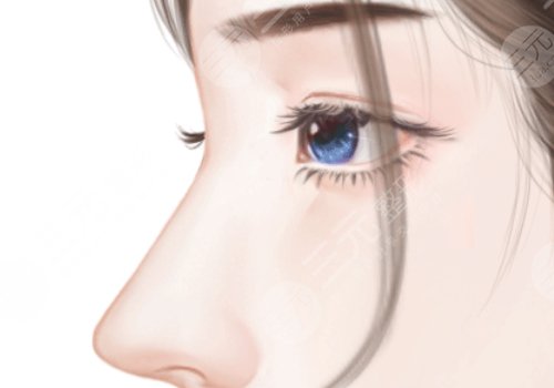 肋骨鼻是墊鼻尖還是鼻梁