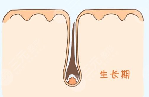 北京大學(xué)深圳醫(yī)院植發(fā)