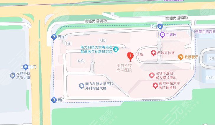 南方科技大學(xué)醫(yī)院