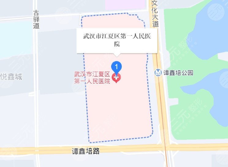 武漢市第一人民醫(yī)院地址